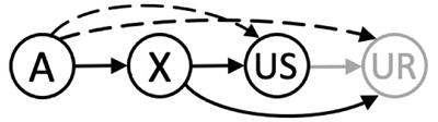 Higher-Order Conditioning: What Is Learnt and How it Is Expressed